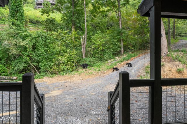 535 Forrest Springs Drive, Gatlinburg, TN 37738