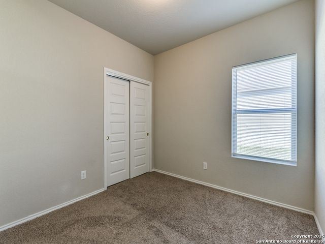 320 Saddle Leaf, Cibolo, TX 78108