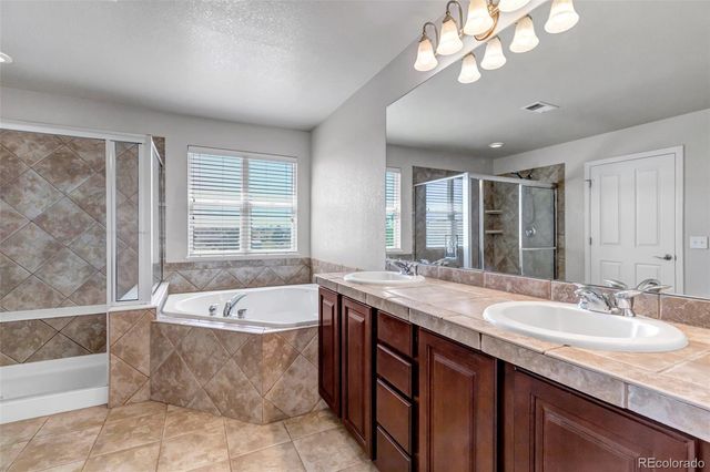 17016 Pale Anemone Street, Parker, CO 80134