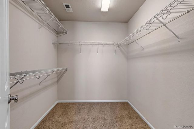 17016 Pale Anemone Street, Parker, CO 80134