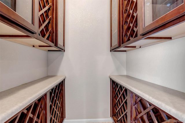 17016 Pale Anemone Street, Parker, CO 80134