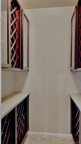 17016 Pale Anemone Street, Parker, CO 80134