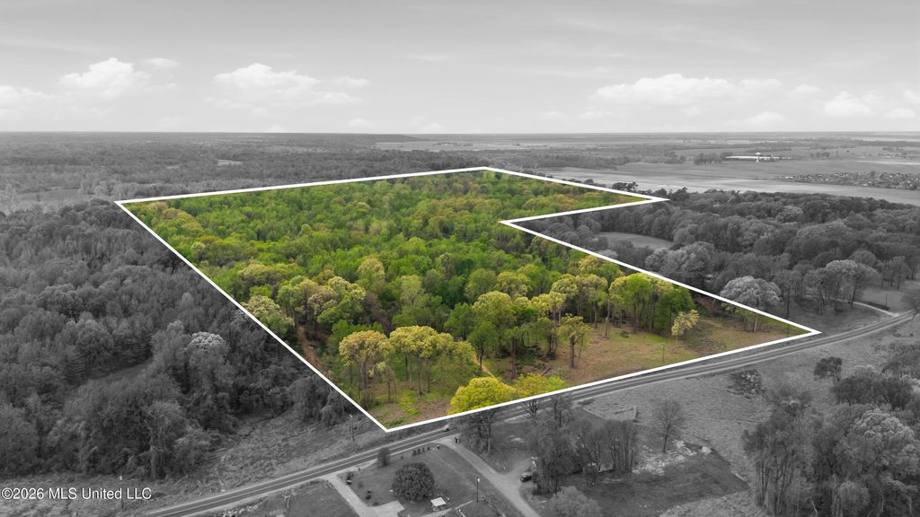 6 Nail Road, Walls, MS 38680 — photo 2