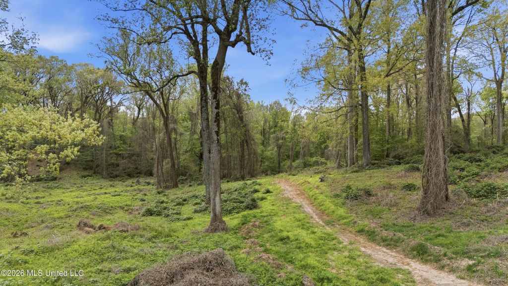 6 Nail Road, Walls, MS 38680 — photo 3