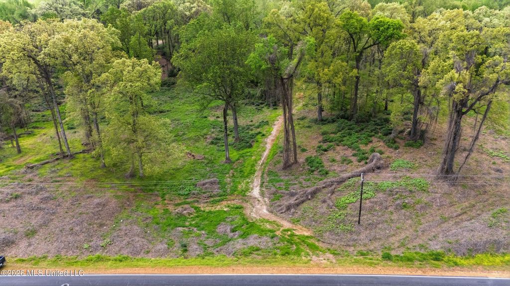 6 Nail Road, Walls, MS 38680 — photo 4