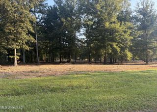 00 Shire Avenue, Forest, MS 39074