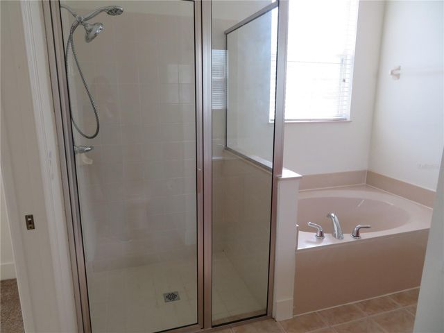 9715 OLD PATINA WAY, Orlando, FL 32832