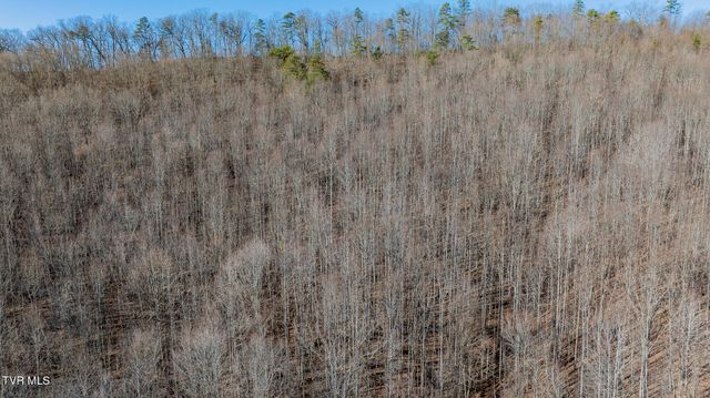 3822 Goshen Valley Road, Rogersville, TN 37857