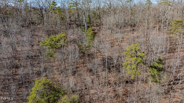 3822 Goshen Valley Road, Rogersville, TN 37857