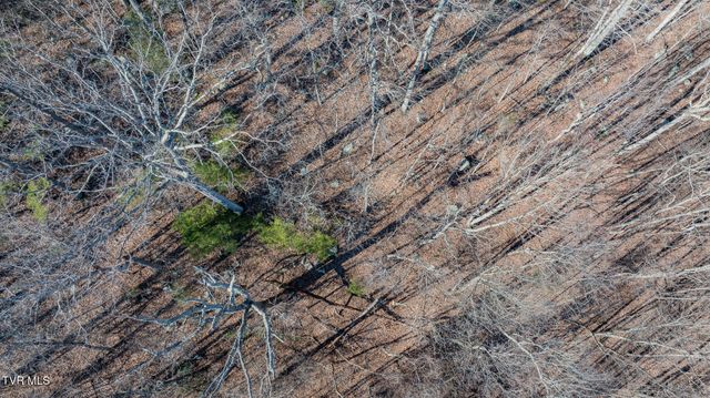 3822 Goshen Valley Road, Rogersville, TN 37857