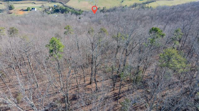 3822 Goshen Valley Road, Rogersville, TN 37857