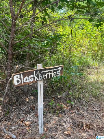 3564 WATERS ROAD, Clanton, AL 35046