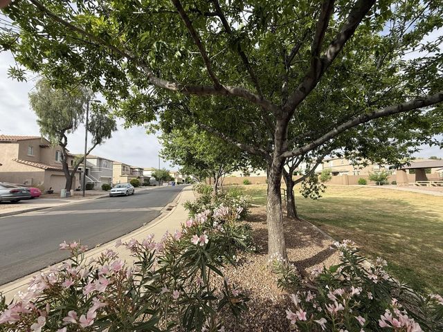 1235 E Julian Drive, Gilbert, AZ 85295