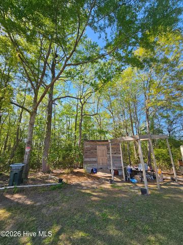 40 Alligator Creek Road, Merritt, NC 28556