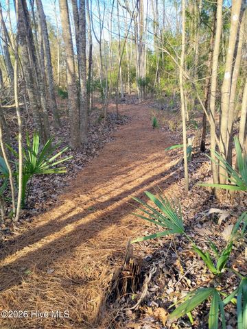 40 Alligator Creek Road, Merritt, NC 28556