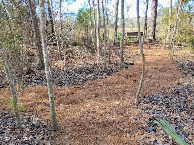 40 Alligator Creek Road, Merritt, NC 28556