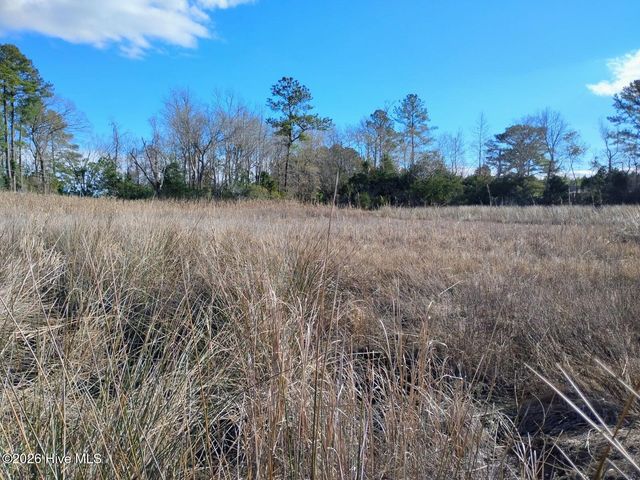 40 Alligator Creek Road, Merritt, NC 28556