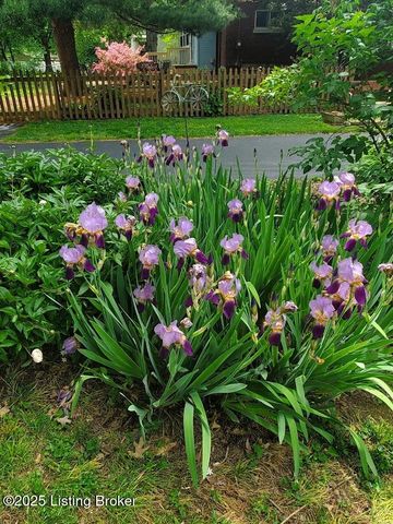 2923 Avon Rd, Louisville, KY 40220