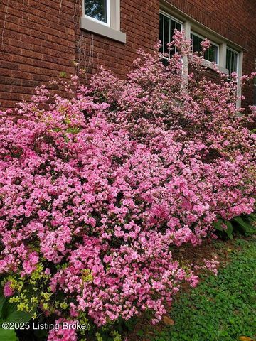 2923 Avon Rd, Louisville, KY 40220