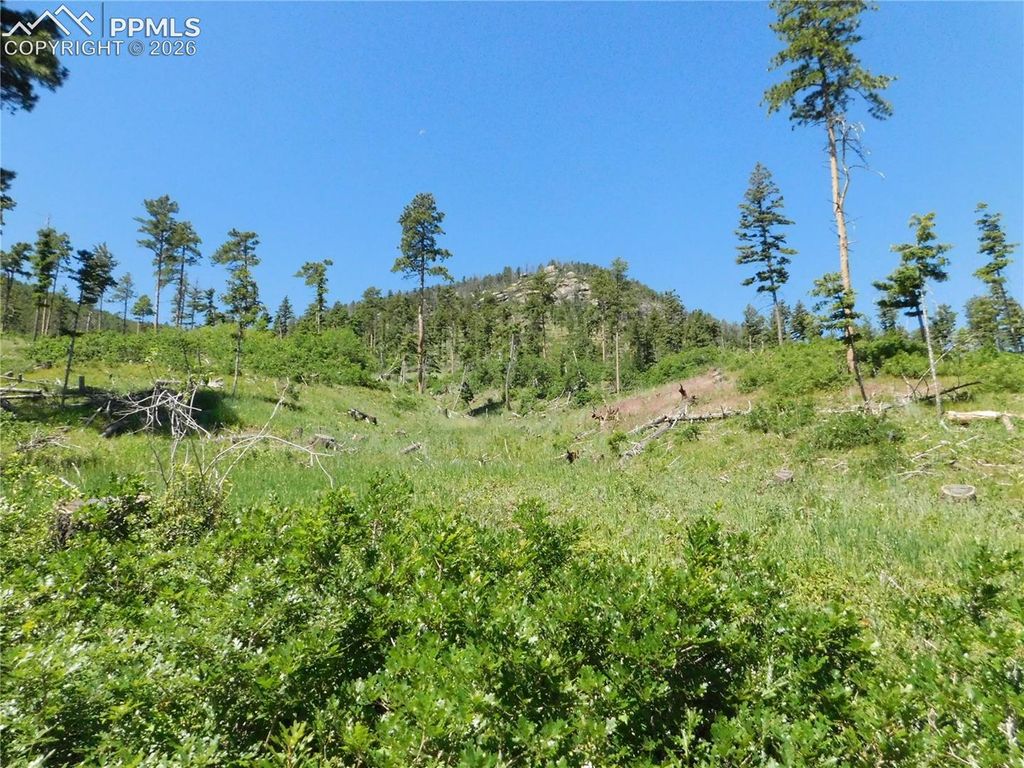 8249 Yuma Circle, Larkspur, CO 80118 — exterior