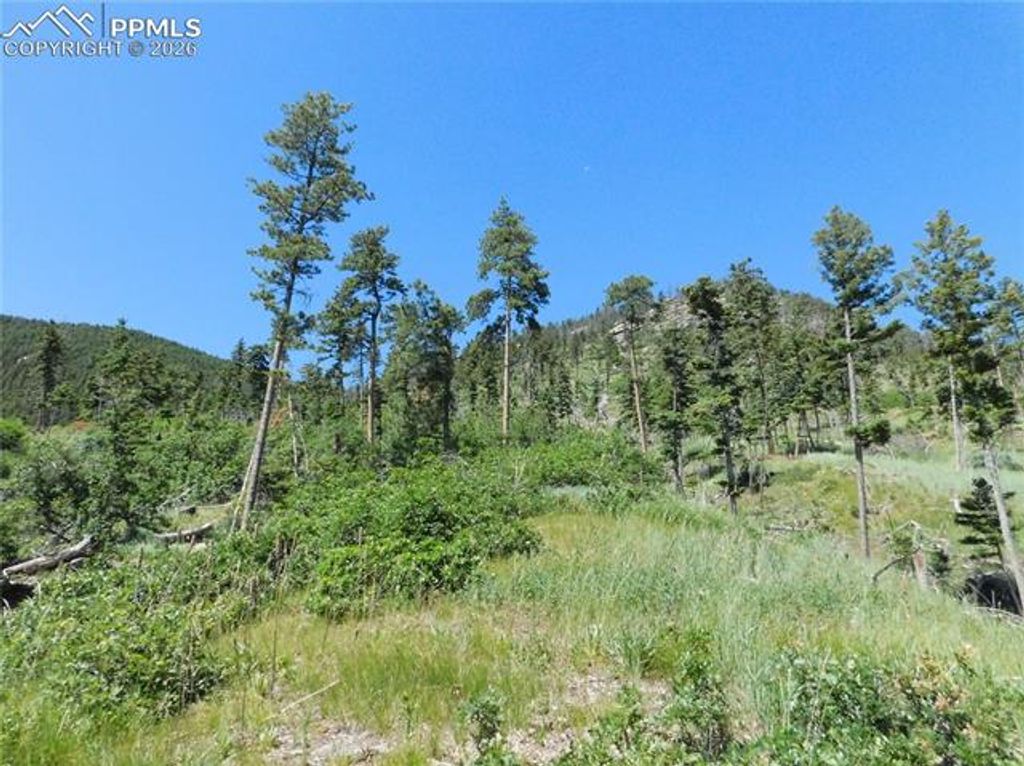 8249 Yuma Circle, Larkspur, CO 80118 — photo 2