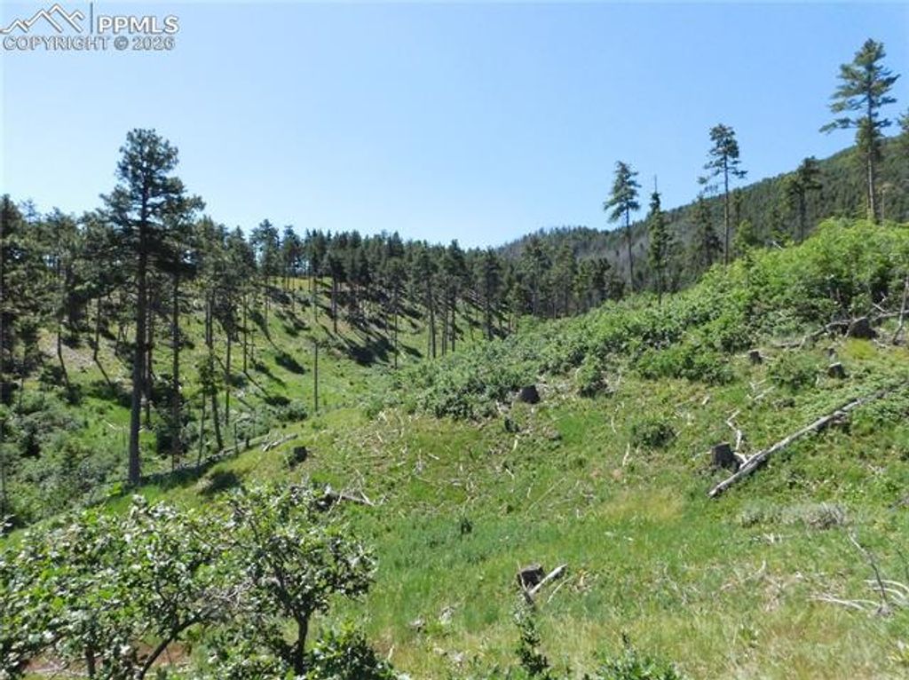 8249 Yuma Circle, Larkspur, CO 80118 — photo 3