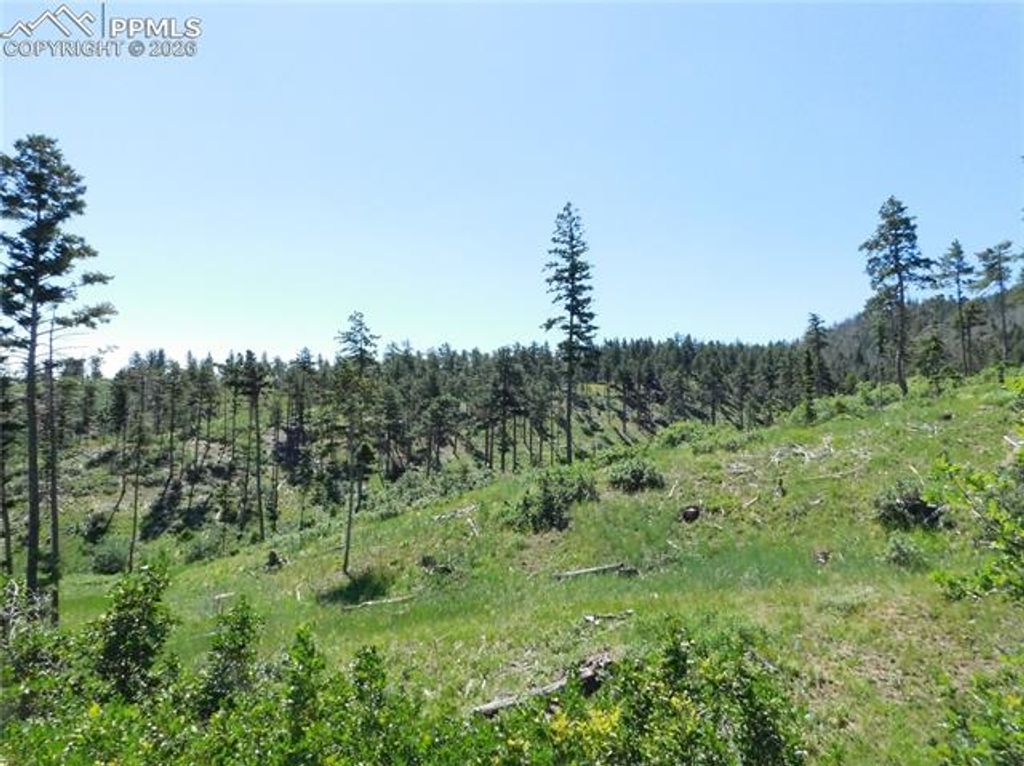 8249 Yuma Circle, Larkspur, CO 80118 — photo 4