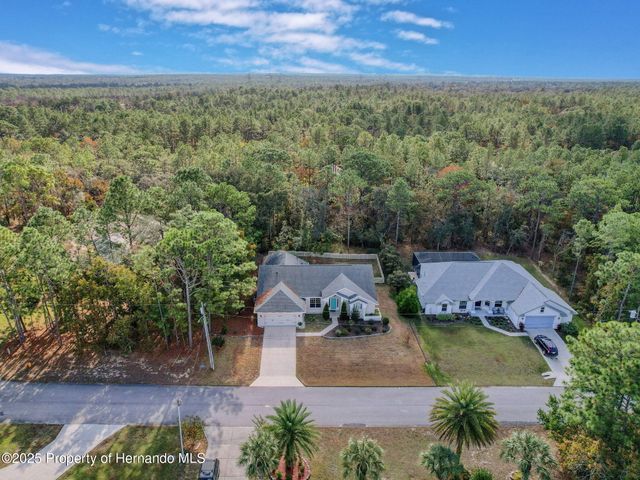 11 Maidenbush Court, Homosassa, FL 34446