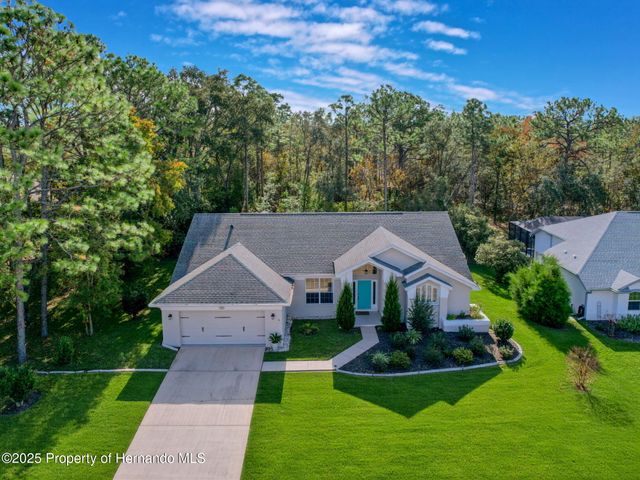 11 Maidenbush Court, Homosassa, FL 34446