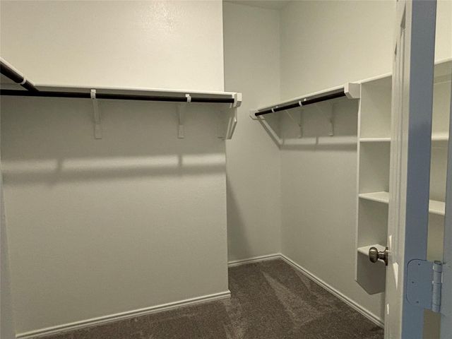 344 Tree Nut LOOP, Buda, TX 78610