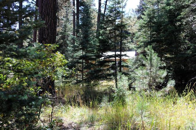 TBD Mariposa Ave, Rye, CO 81069