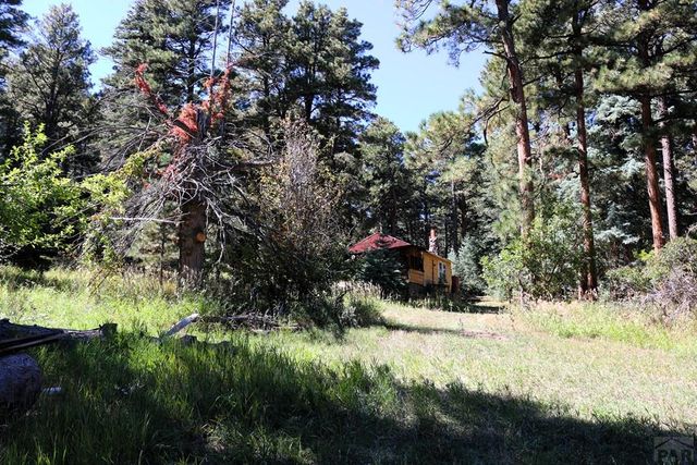 TBD Mariposa Ave, Rye, CO 81069