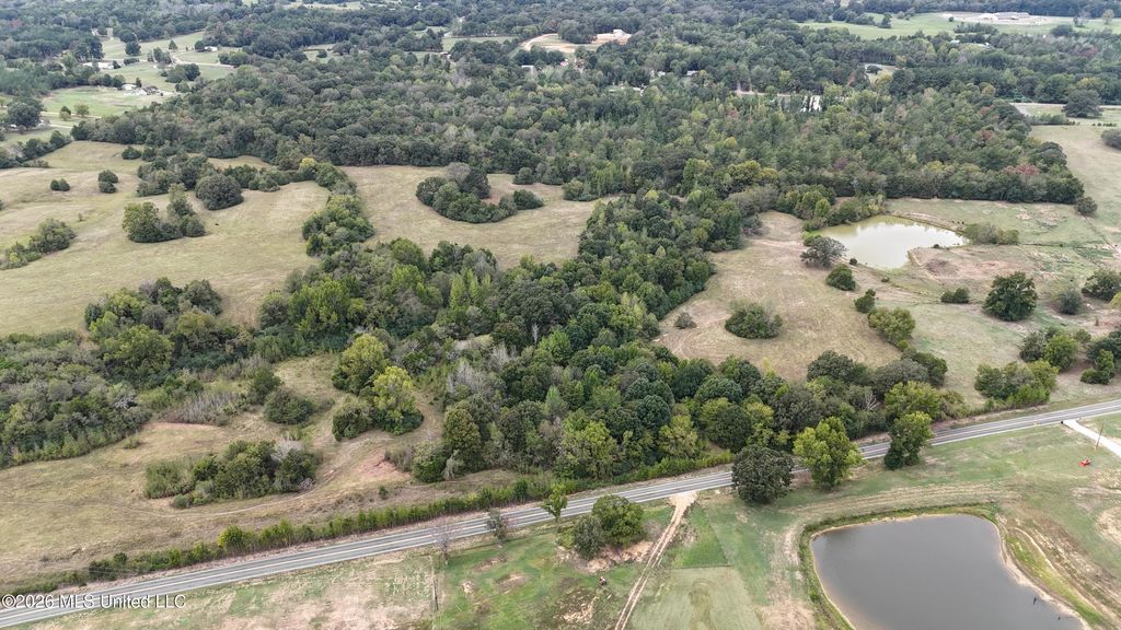 20.03 Old Memphis Oxford Road, Coldwater, MS 38618 — photo 2