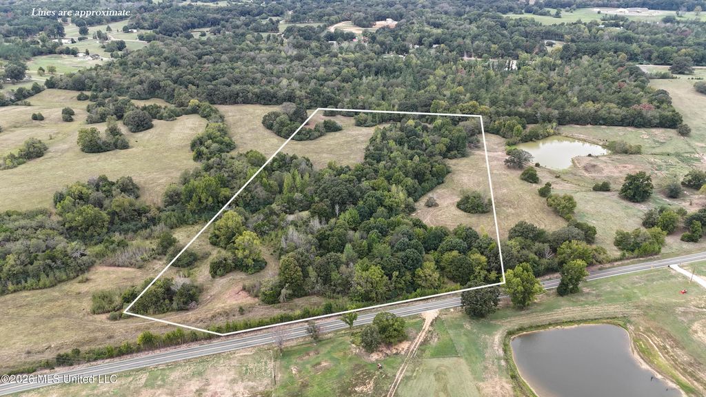 20.03 Old Memphis Oxford Road, Coldwater, MS 38618 — photo 3