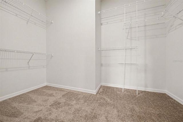 1462 WHOOPING DRIVE, Groveland, FL 34736