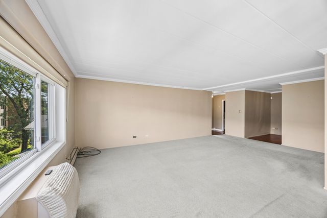 1139 Leavitt Avenue 305, Flossmoor, IL 60422