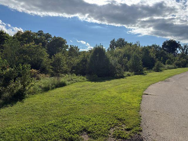 0 Plum Hollow Court, Dixon, IL 61021