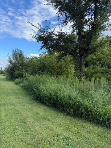 0 Plum Hollow Court, Dixon, IL 61021