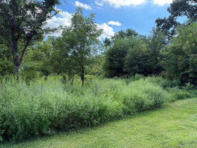 0 Plum Hollow Court, Dixon, IL 61021