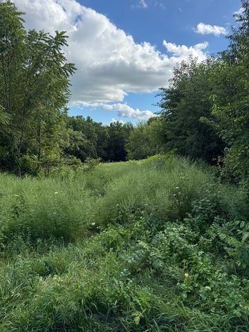 0 Plum Hollow Court, Dixon, IL 61021