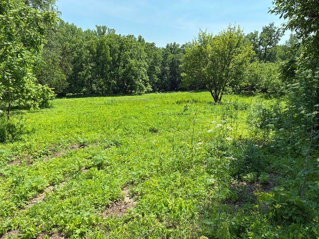 0 Plum Hollow Court, Dixon, IL 61021