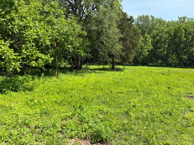 0 Plum Hollow Court, Dixon, IL 61021