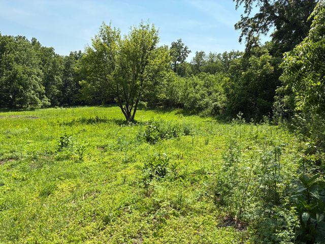 0 Plum Hollow Court, Dixon, IL 61021