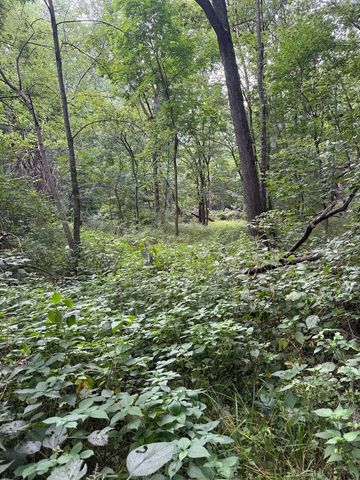 0 Plum Hollow Court, Dixon, IL 61021