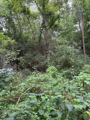 0 Plum Hollow Court, Dixon, IL 61021