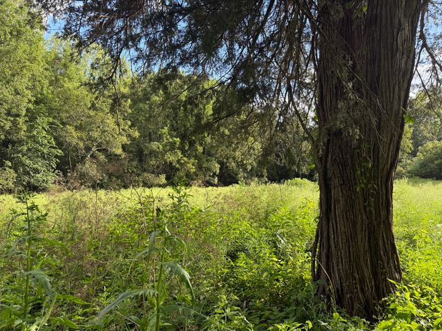 0 Plum Hollow Court, Dixon, IL 61021