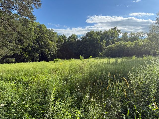 0 Plum Hollow Court, Dixon, IL 61021