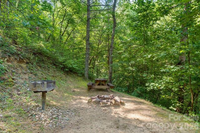 286 Rebel Drive, Hot Springs, NC 28743