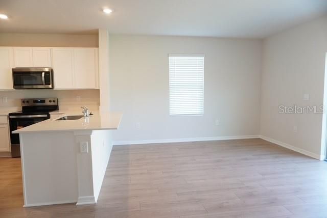 4666 STARGAZER COURT, Palm Harbor, FL 34683