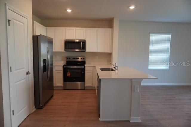 4666 STARGAZER COURT, Palm Harbor, FL 34683